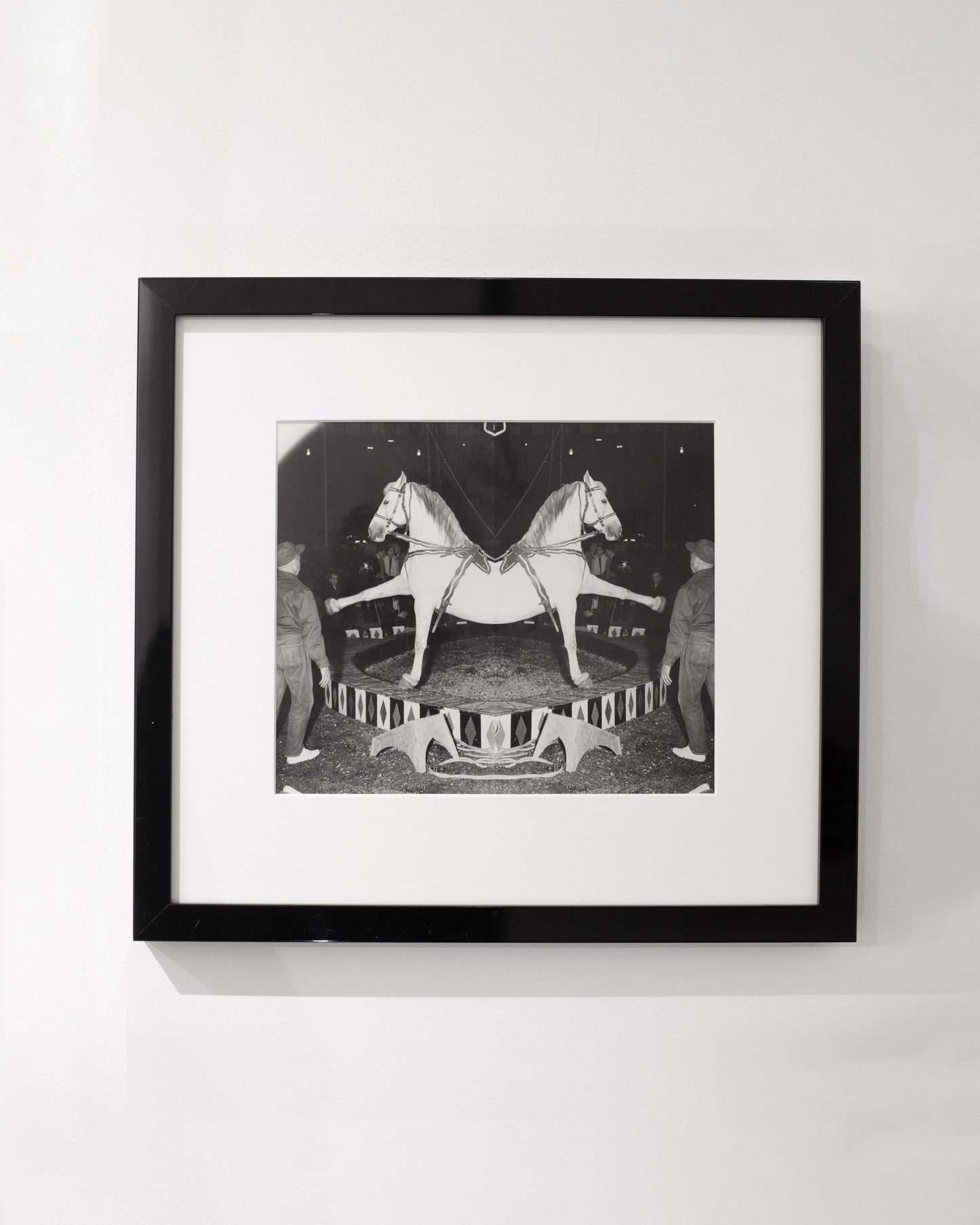 Circus Horse and Man