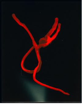 Lifeline 103 culturalgoodsgallery